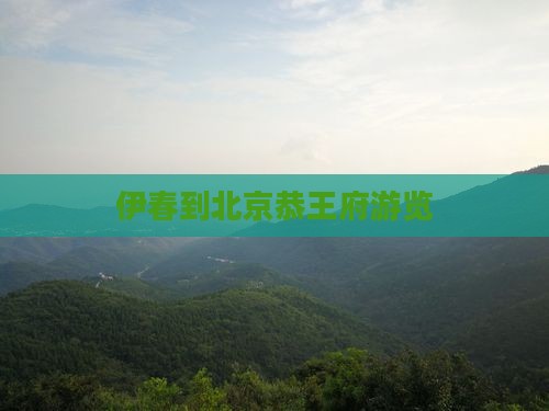 伊春到北京恭王府游览