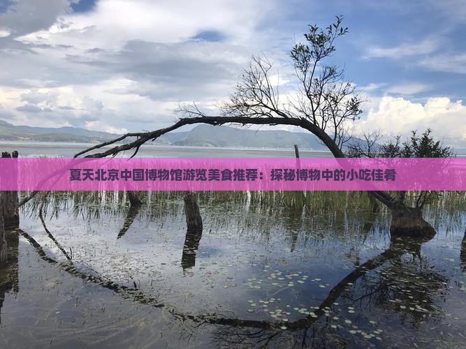 夏天北京中国博物馆游览美食推荐：探秘博物中的小吃佳肴