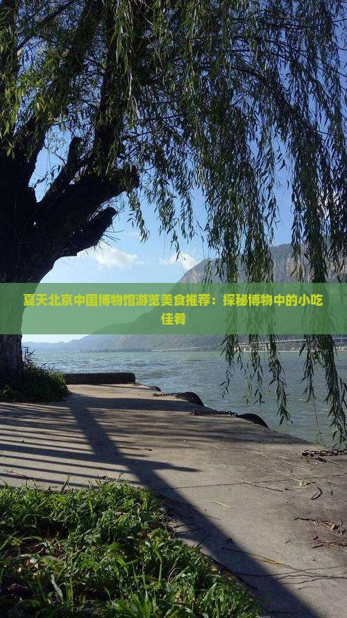 夏天北京中国博物馆游览美食推荐：探秘博物中的小吃佳肴