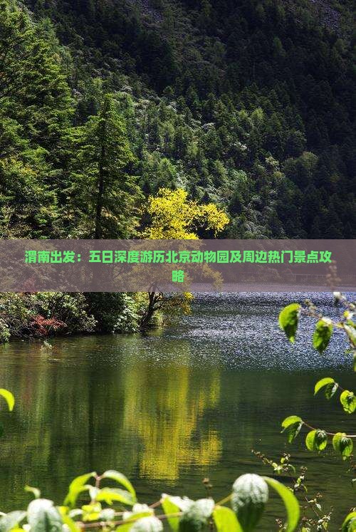 渭南出发：五日深度游历北京动物园及周边热门景点攻略