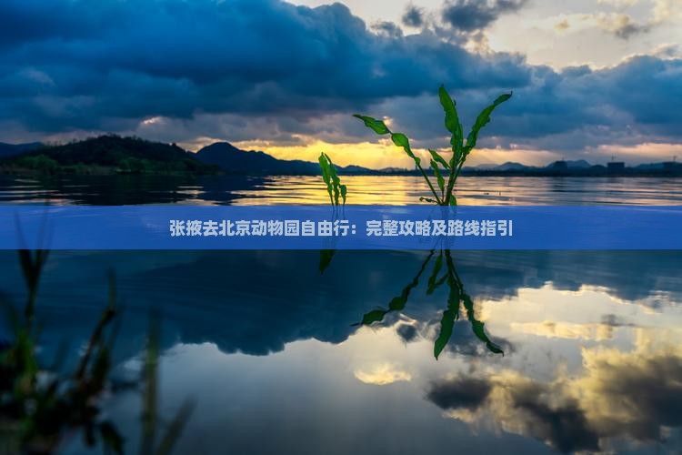 张掖去北京动物园自由行：完整攻略及路线指引