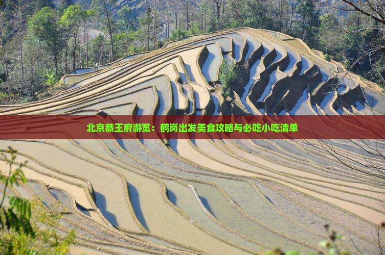 北京恭王府游览：鹤岗出发美食攻略与必吃小吃清单