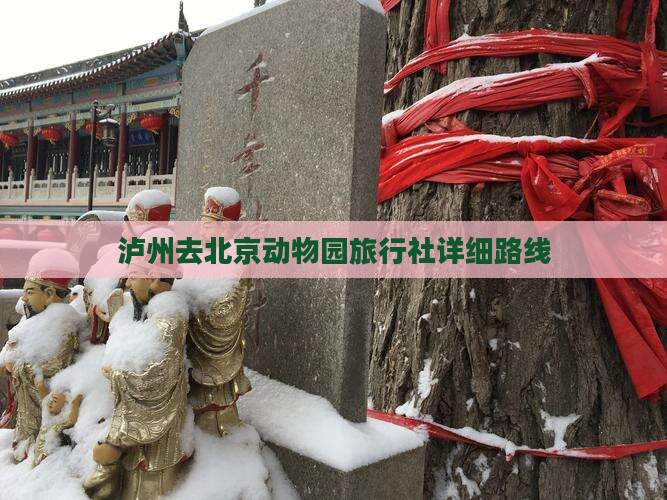 泸州去北京动物园旅行社详细路线