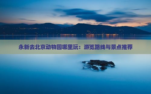 永新去北京动物园哪里玩：游览路线与景点推荐