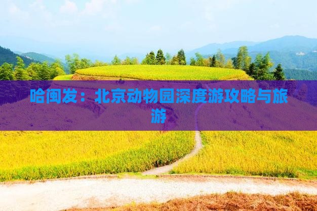 哈闽发：北京动物园深度游攻略与旅游