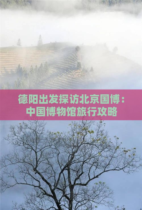 德阳出发探访北京国博：中国博物馆旅行攻略