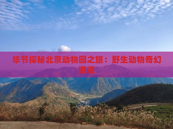 毕节探秘北京动物园之旅：野生动物奇幻邂逅