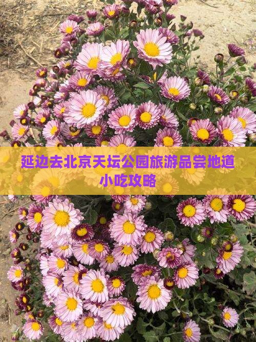 延边去北京天坛公园旅游品尝地道小吃攻略