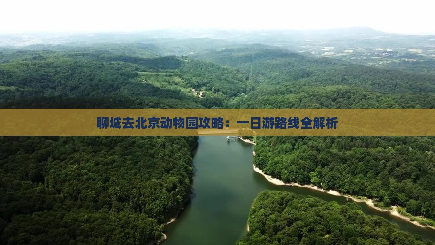 聊城去北京动物园攻略：一日游路线全解析