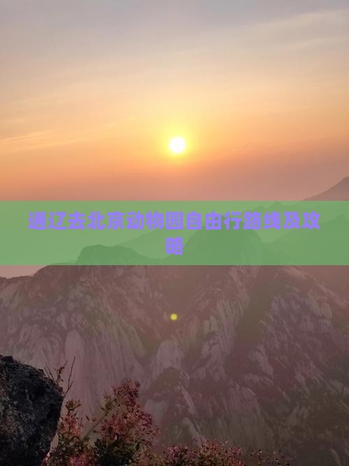 通辽去北京动物园自由行路线及攻略