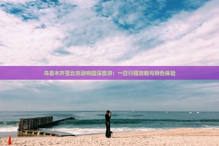 乌鲁木齐至北京动物园深度游：一日行程攻略与特色体验
