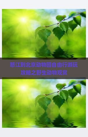 怒江到北京动物园自由行游玩攻略之野生动物观赏