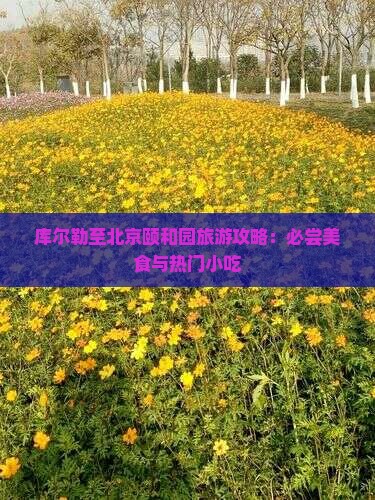 库尔勒至北京颐和园旅游攻略：必尝美食与热门小吃