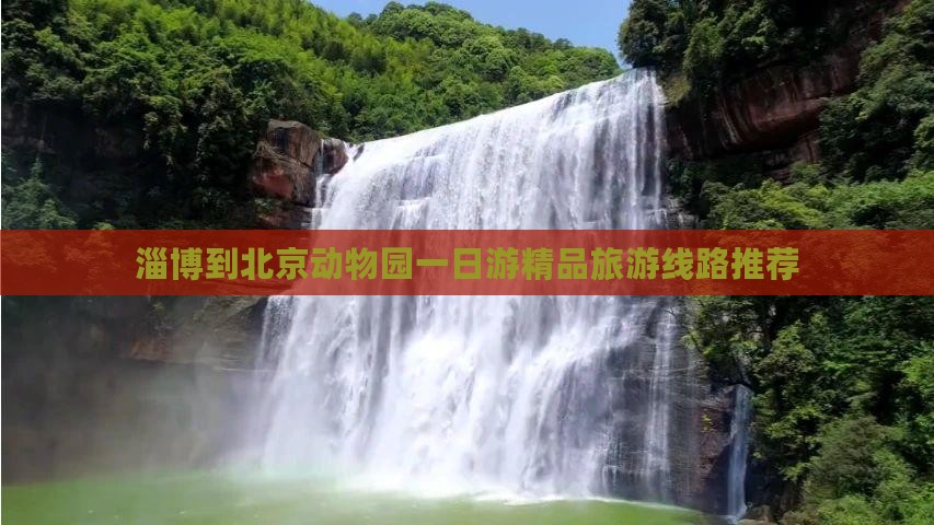淄博到北京动物园一日游精品旅游线路推荐