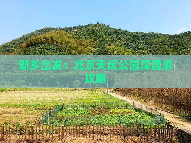 新乡出发：北京天坛公园深度游攻略