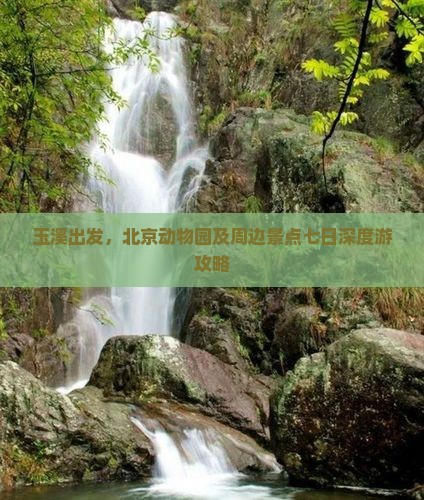 玉溪出发，北京动物园及周边景点七日深度游攻略