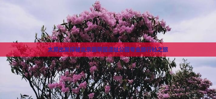 太原出发探秘北京圆明园遗址公园专业旅行社之旅
