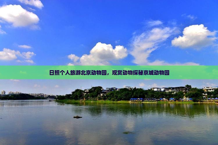 日照个人旅游北京动物园，观赏动物探秘京城动物园