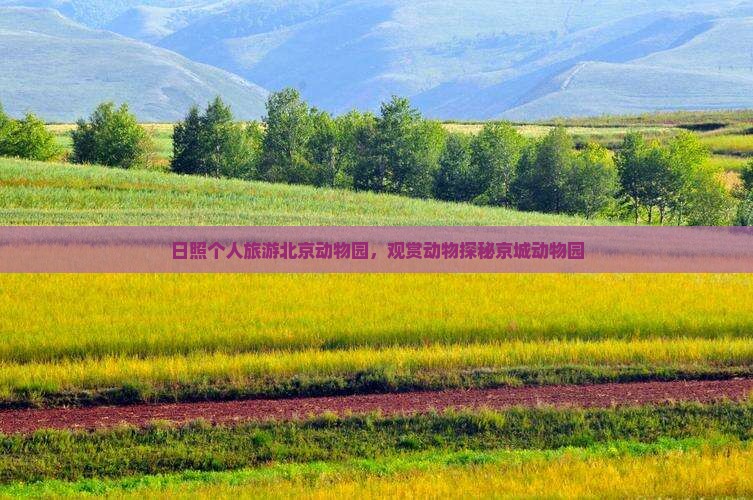 日照个人旅游北京动物园，观赏动物探秘京城动物园
