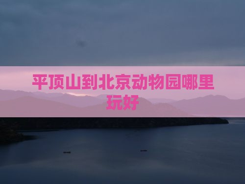 平顶山到北京动物园哪里玩好