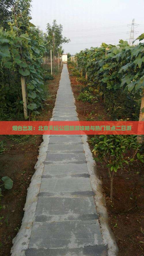 烟台出发：北京天坛公园旅游攻略与热门景点二日游
