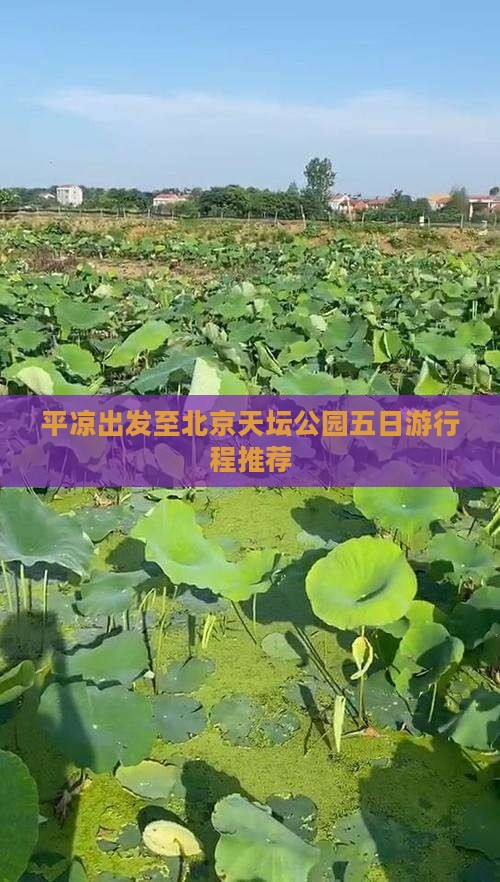 平凉出发至北京天坛公园五日游行程推荐