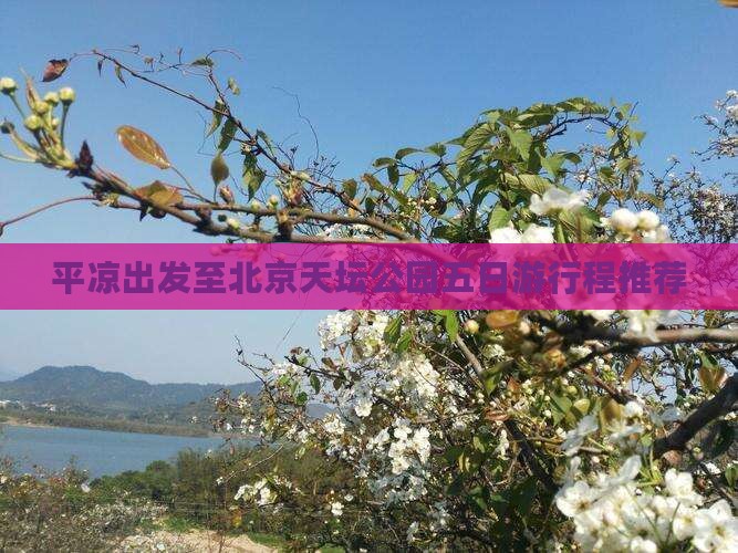平凉出发至北京天坛公园五日游行程推荐