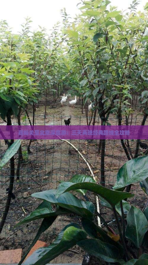 嘉峪关至北京深度游：三天两晚经典路线全攻略
