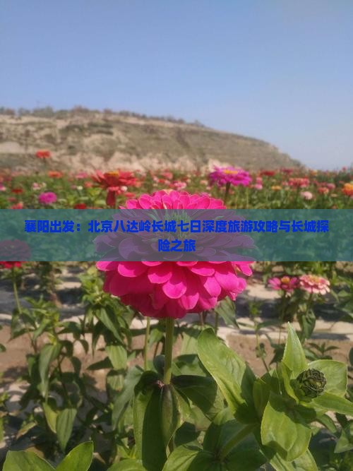 襄阳出发：北京八达岭长城七日深度旅游攻略与长城探险之旅