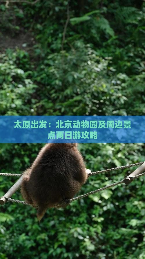 太原出发：北京动物园及周边景点两日游攻略