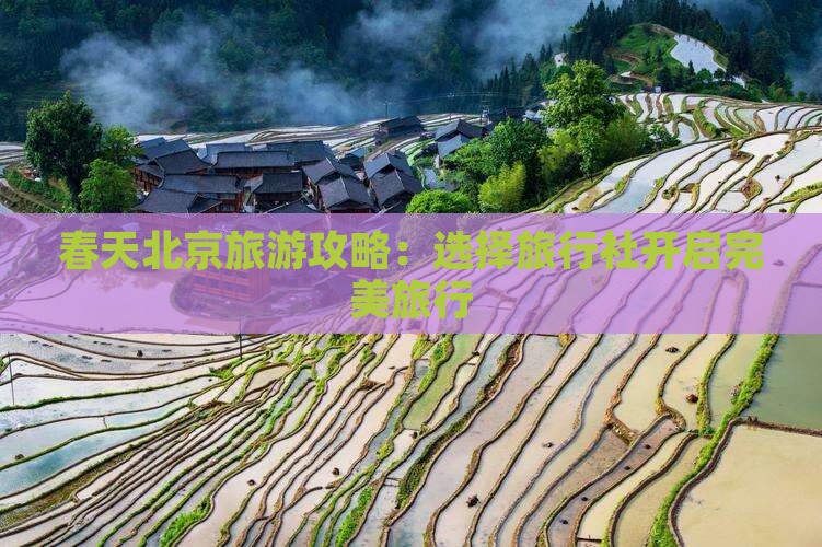 春天北京旅游攻略：选择旅行社开启完美旅行