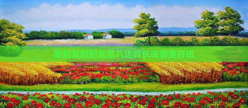 新到阜新到北京八达岭长城哪里好玩