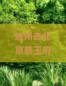 达州去北京恭王府团体旅游：探寻古都文化瑰宝之旅