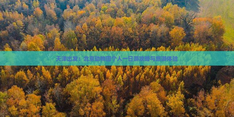 天津出发：北京动物园个人一日游攻略与旅游体验