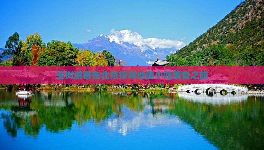 玉树游客在北京探寻地道小吃美食之旅