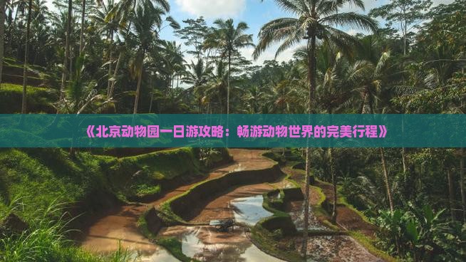 《北京动物园一日游攻略：畅游动物世界的完美行程》