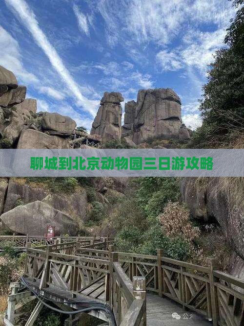 聊城到北京动物园三日游攻略