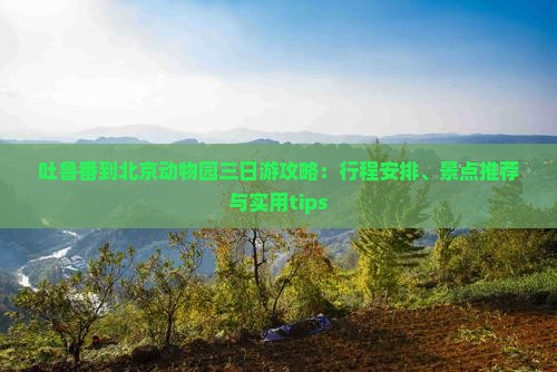 吐鲁番到北京动物园三日游攻略：行程安排、景点推荐与实用tips