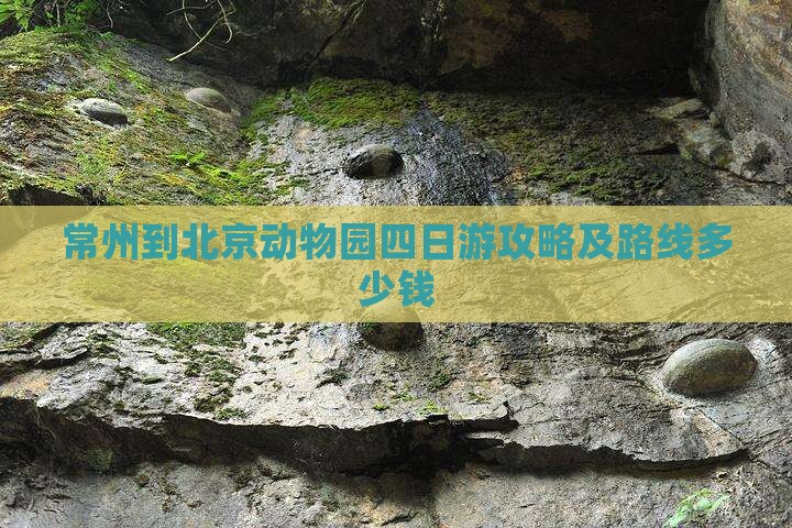 常州到北京动物园四日游攻略及路线多少钱
