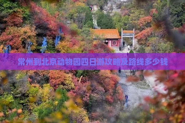 常州到北京动物园四日游攻略及路线多少钱