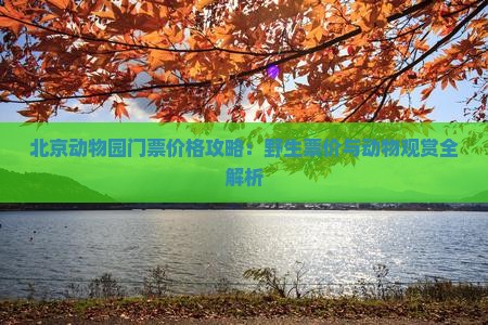 北京动物园门票价格攻略：野生票价与动物观赏全解析