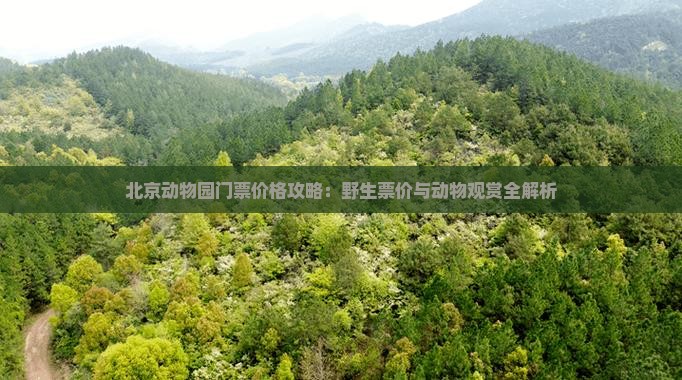 北京动物园门票价格攻略：野生票价与动物观赏全解析