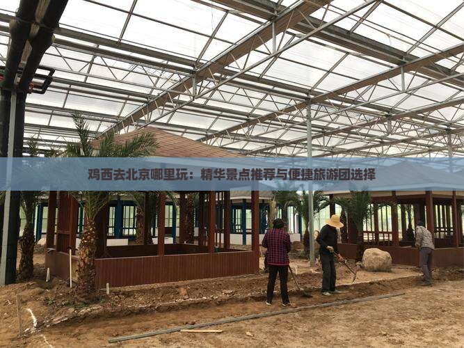 鸡西去北京哪里玩：精华景点推荐与便捷旅游团选择