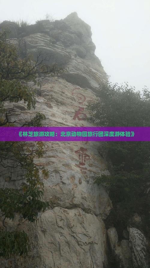《林芝旅游攻略：北京动物园旅行团深度游体验》