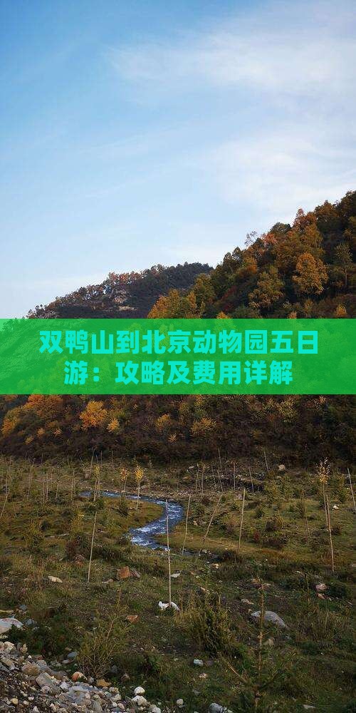 双鸭山到北京动物园五日游：攻略及费用详解