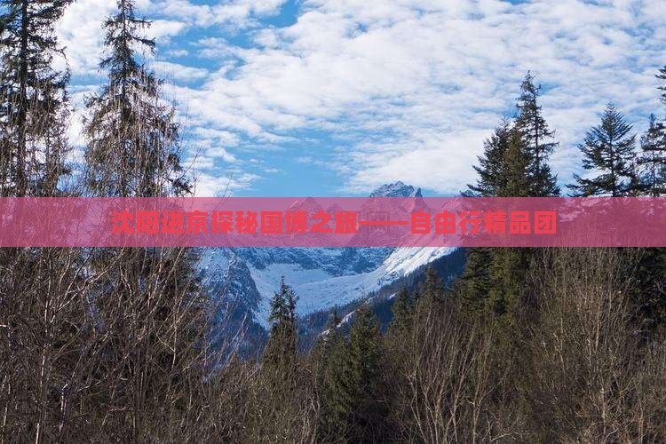沈阳进京探秘国博之旅——自由行精品团