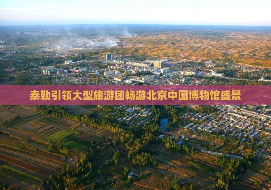 泰勒引领大型旅游团畅游北京中国博物馆盛景
