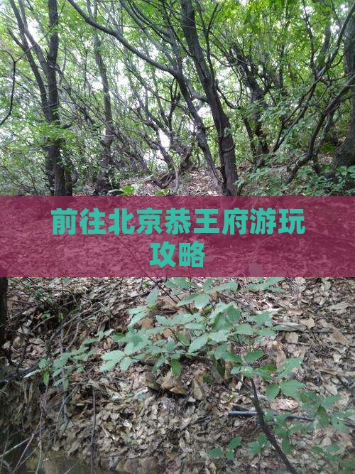 前往北京恭王府游玩攻略