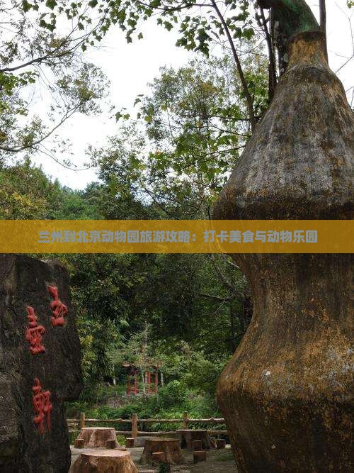 兰州到北京动物园旅游攻略：打卡美食与动物乐园
