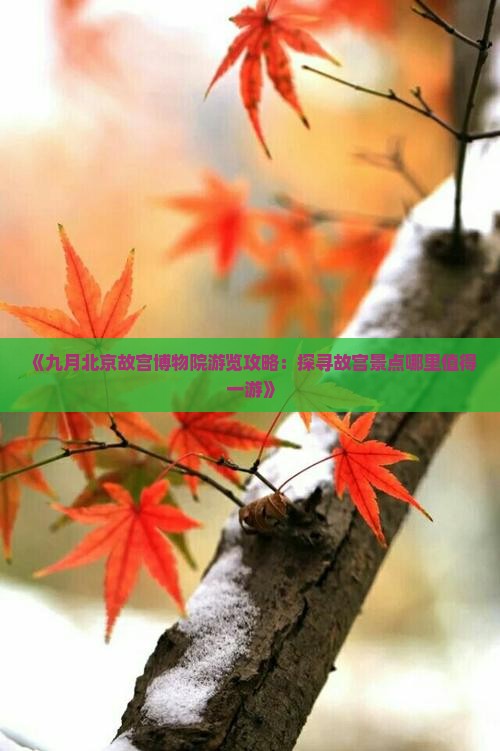 《九月北京故宫博物院游览攻略：探寻故宫景点哪里值得一游》